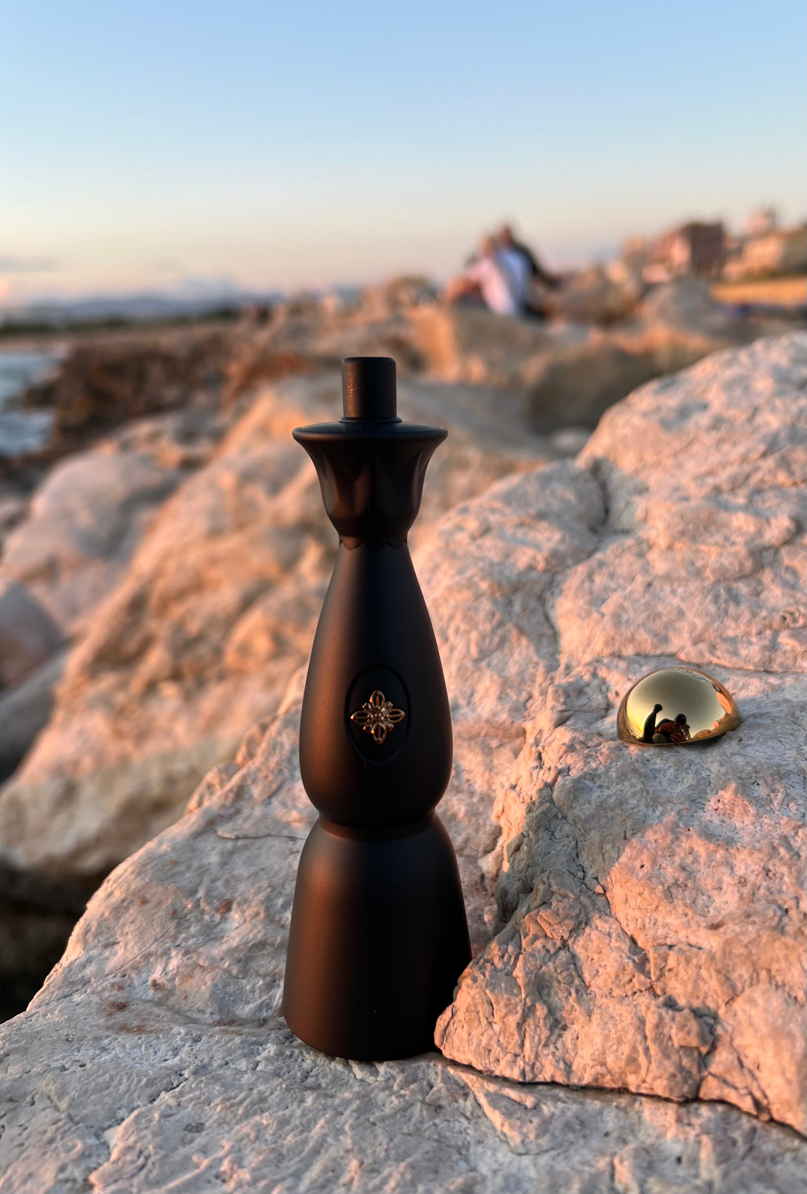 SAINTVPE - BLACK LIMITED EDITION