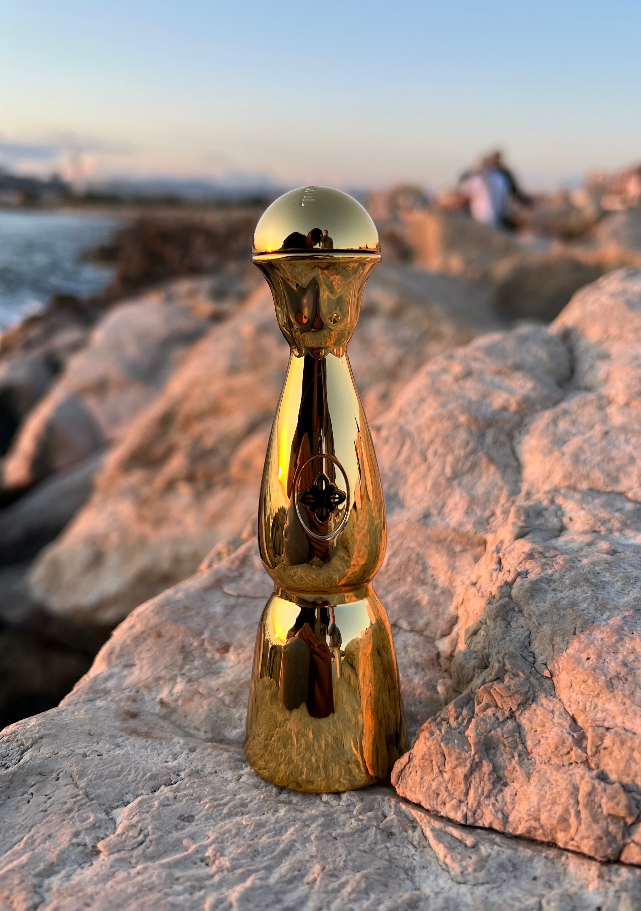 SAINTVPE - GOLD LIMITED EDITION